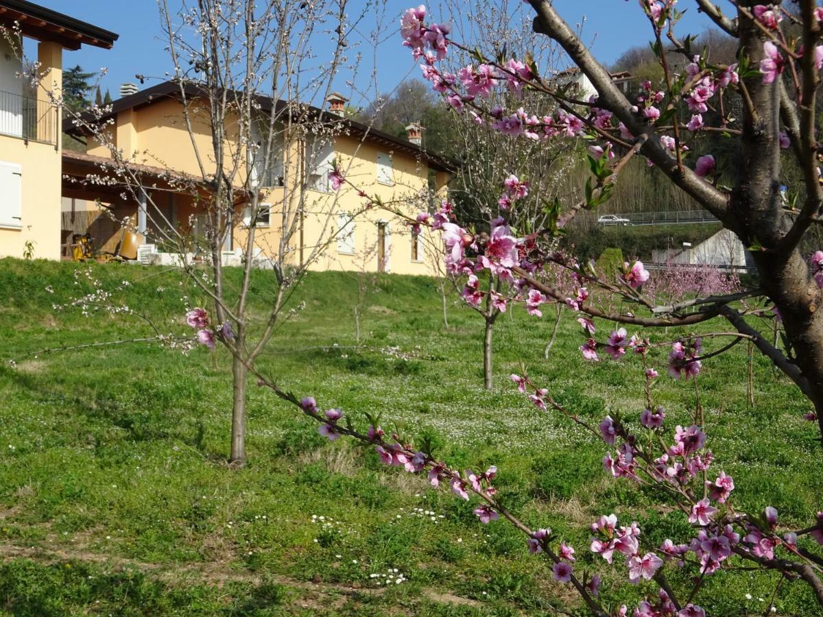 Cascina Legnago Bilocale A 6 Chilometri Da Salo' Apartment Villanuova sul clisi Exterior photo